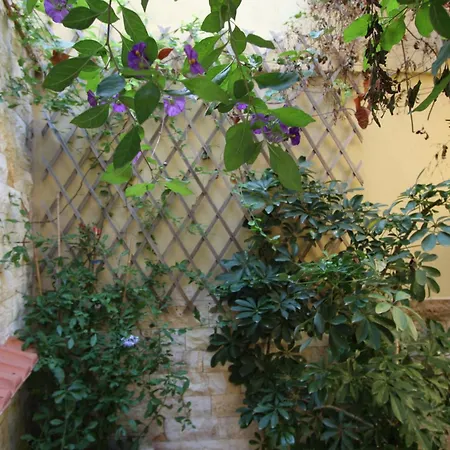 Guest house Sofia 2*