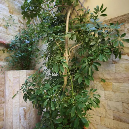 Guest house Sofia 4*