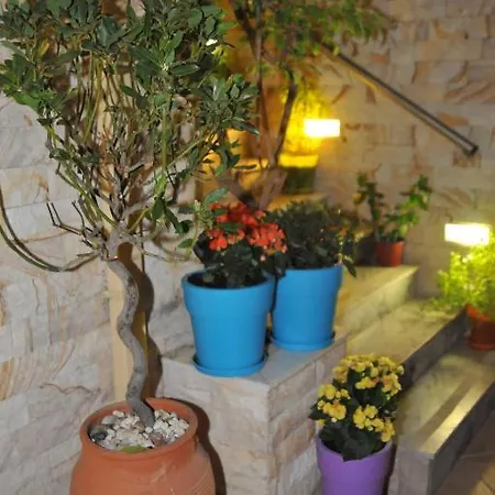 Sofia Guest house 2*