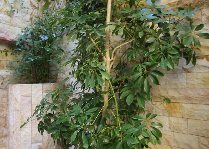 Guest house Sofia 4*