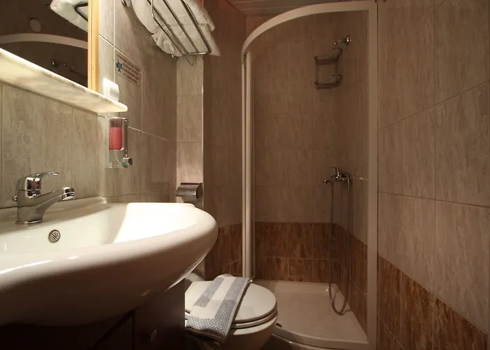 Sofia Guest house 4*