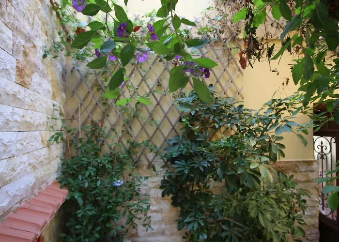 Guest house Sofia 4*