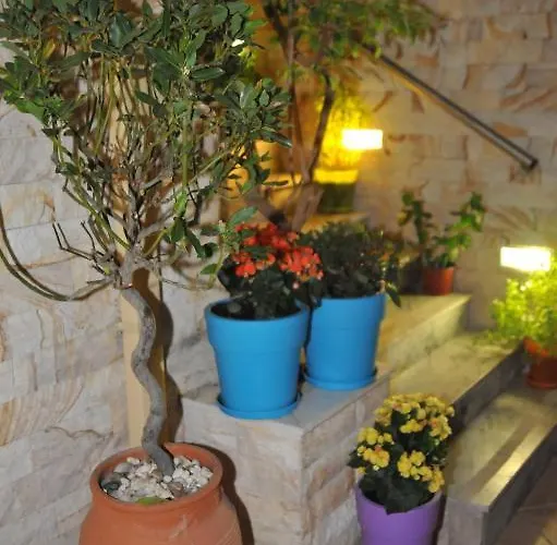 Sofia Guest house 4*