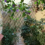 بيت ضيافة Sofia 4*